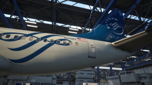 PMDG 737-700 Delta Air Lines 'SkyTeam' thumbnail 2