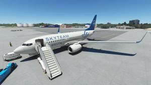 PMDG 737-700 Delta Air Lines 'SkyTeam' thumbnail 5