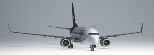 PMDG 737-700 - Gold Virtual Airlines 10 Years