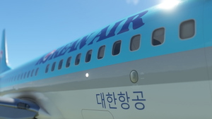 ✈️ PMDG 737-700 | Korean Air | HL8225 [4K]&nbsp; thumbnail 4