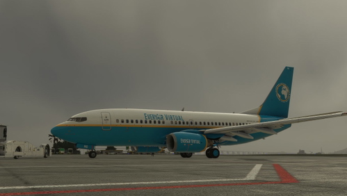 PMDG 737-700 repaint for EveryAir PT-PMG (4k)