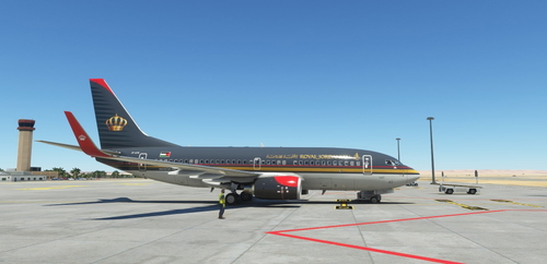 PMDG 737-700 Royal Air Jordanian (JY-AYS - 2011)