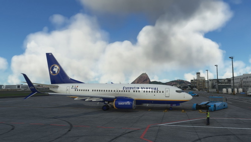 PMDG 737-700BBJ repaint for EveryAir PT-CEO (4k)