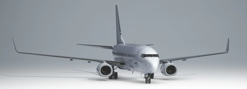 PMDG 737-700BBJ White (Unpainted BW & SSW)