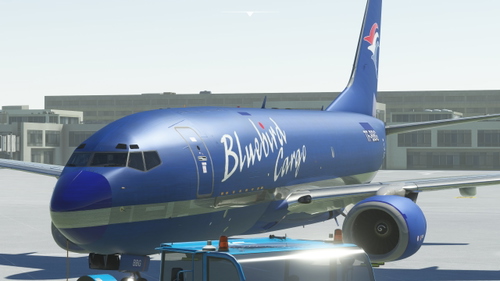 PMDG 737-700BDSF Bluebird Nordic TF-BBG (737-300BDSF IRL)