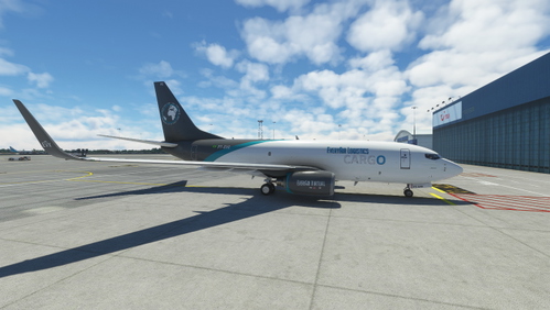 PMDG 737-700BDSF repaint for EveryAir Cargo