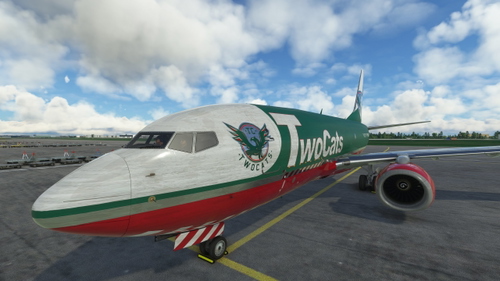 PMDG 737-700BDSF Twocats Cargo (Eddie Stobart Inspired)