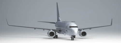 PMDG 737-700BSDF White (Unpainted)