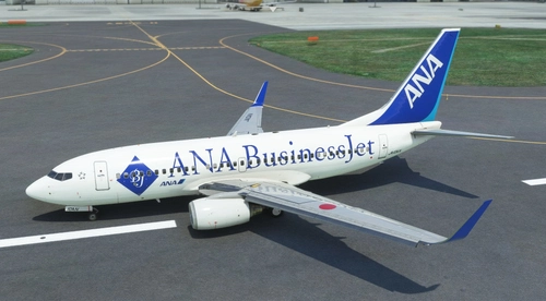PMDG 737-700ER ANA All Nippon Airways Business Jet (JA10AN - 2012)