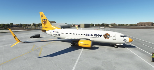 PMDG 737-700SSW Corendon Airlines 'Hull City' - 9H-CXG
