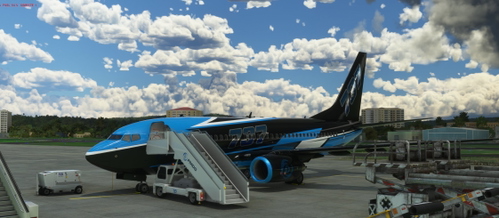 PMDG 737 CLI4D'S FICTIONAL LIVERY