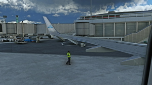 [PMDG 737] CUSTOM CAMERA VIEWS | VUES PERSONNALISÉES - TYG thumbnail 6