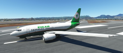 PMDG B737-600 Eva Air B-22310