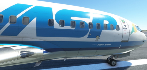 PMDG B737-600 Vasp PP-SMS