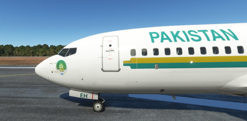 PMDG B737 Pakistan Airline PIA AP-BEH