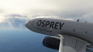 PMDG Boeing B737-700BDSF Osprey World Cargo | 4K  thumbnail 2