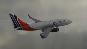 PMDG Boeing B737-700BDSF Osprey World Cargo | 4K  thumbnail 3