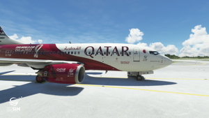 Qatar Airways Fifa World Cup 2022 thumbnail 14