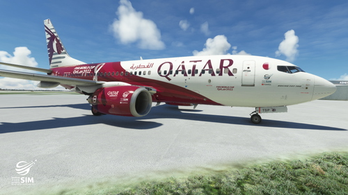 Qatar Airways Fifa World Cup 2022