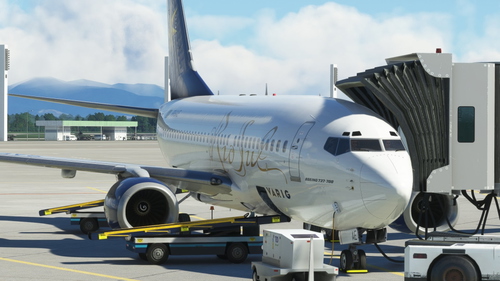 Rio Sul 737-700 PR-SAE PMDG