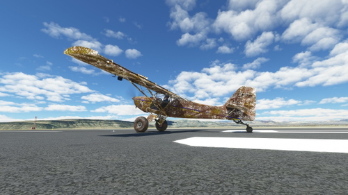Salvaged Kitfox