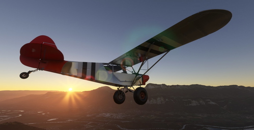 Savage Cub Vieux Bandit