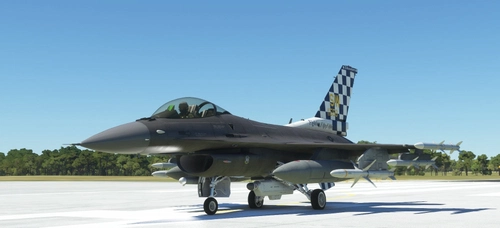 Shaw Air Force Base 55th Fighter Squadron "Shooters"
