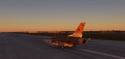 Shaw Air Force Base 79th Fighter Squadron "Tigers"