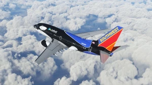 Southwest Shamu One (N334SW) PMDG Boeing 737-600 - 8K thumbnail 2