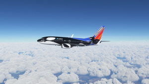 Southwest Shamu One (N715SW) PMDG Boeing 737-700 - 8K thumbnail 1