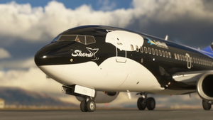 Southwest Shamu One (N715SW) PMDG Boeing 737-700 - 8K thumbnail 12