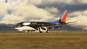 Southwest Shamu One (N715SW) PMDG Boeing 737-700 - 8K thumbnail 10