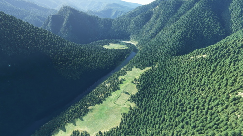 The Rogue River Bush Trip (3S8 to 4S1)