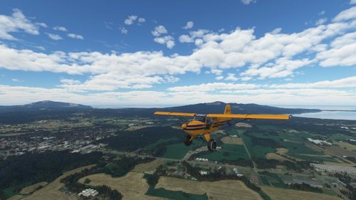Tillamook Fox2