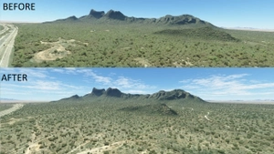 Tucson Arizona Vegetation Replacement  thumbnail 5