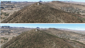 Tucson Arizona Vegetation Replacement  thumbnail 2