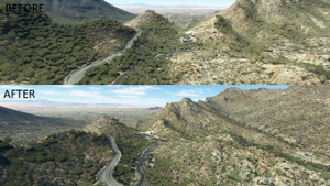 Tucson Arizona Vegetation Replacement  thumbnail 3