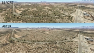 Tucson Arizona Vegetation Replacement  thumbnail 6