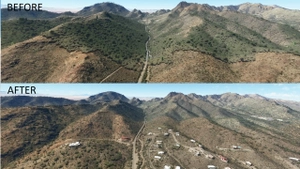 Tucson Arizona Vegetation Replacement  thumbnail 4