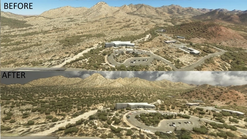 Tucson Arizona Vegetation Replacement