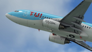 Tuifly [D-AHXG] w/Cabin PMDG B737-700 thumbnail 2