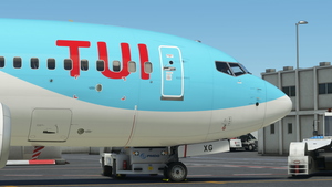 Tuifly [D-AHXG] w/Cabin PMDG B737-700 thumbnail 10