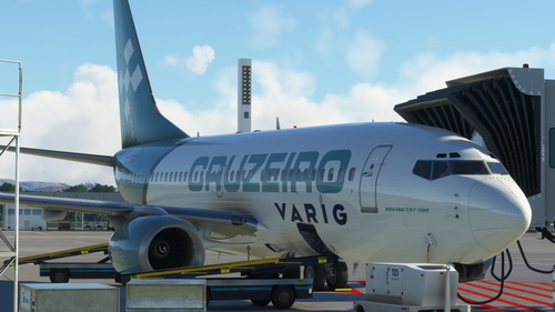 VARIG-Cruzeiro 737-700 PP-CLG "SSO Billboard" PMDG