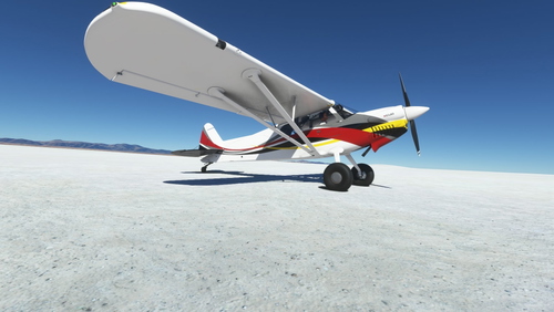 Xcub Red and Black Waves