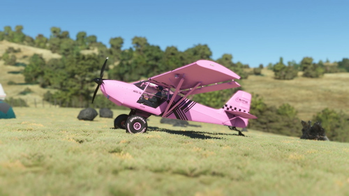 //42 FreedomFox + Fox 2 Pink Racer XLII 
