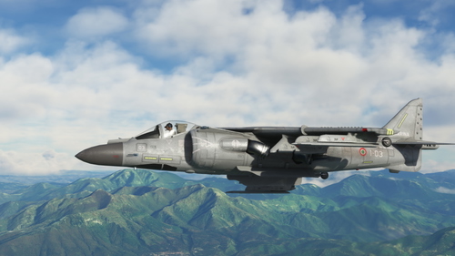 McDonnell-Douglas AV-8B+ Harrier II Italian Navy GAI "Wolves" #03 and #07