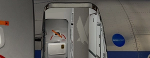 737-800 American Airlines Old Livery (N811NN - 2013) thumbnail 9