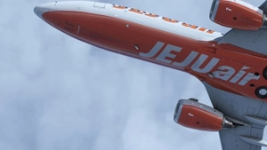 [8K&4K]JejuAir livery for PMDG 737-800 thumbnail 7