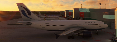 A310-300 Bluewings VA (D-AMAR)
