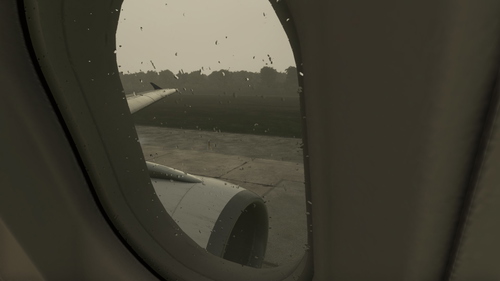 A310 Wing Views